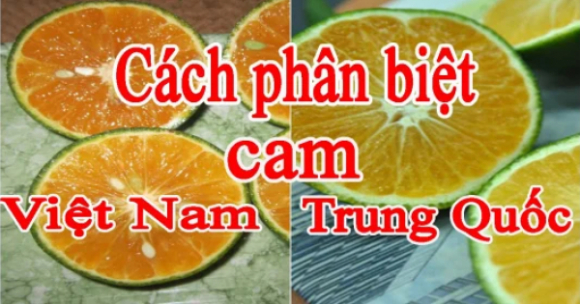 1 Mua Cam Cu Nhin Luot Diem Nay Chi 1 Giay La Biet Cam Trung Quoc Hay Viet Nam Doc Xong Nho Noi Cho Moi Nguoi Cung Biet