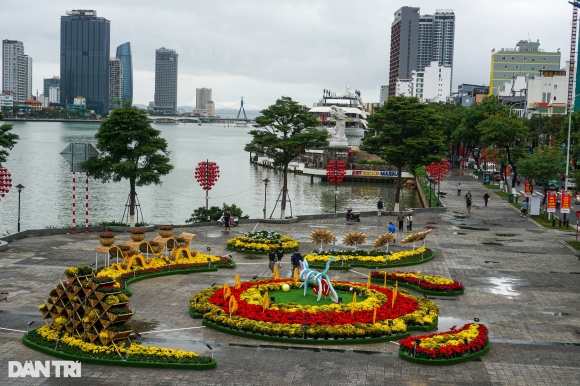 2 Da Nang Thao Do Linh Vat Meo Bi To Dao Nhai