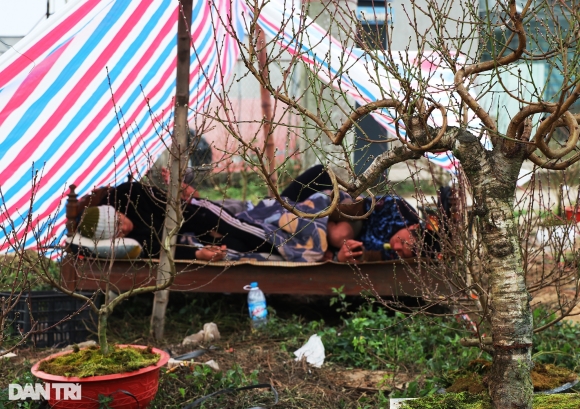 5 Canh An Bo Ngu Bui Mat Nham Mat Mo Cua Nhung Nguoi Buon Tet