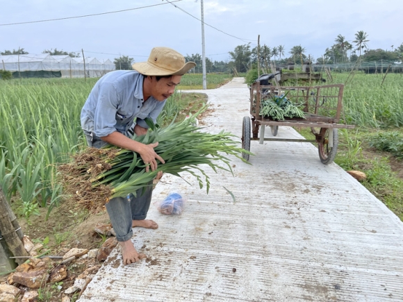 6 Vua Lay On Lon Nhat Nhi Mien Trung Khong No Nguoi Trong Hoa Mat Tet