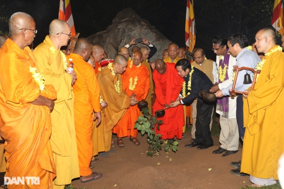 5 Sri Lanka Tang Ngoi Chua Lon Nhat Viet Nam Cay Bo De Thieng