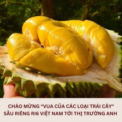1 Sau Rieng Viet Ban Tai Sieu Thi Anh 400 Nghin Dongkg
