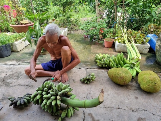 4 Con Re Tu Duc Ve Choi Choang Ngop Khu Vuon Rau Thom Trai Ngot Cua Bo Vo Ca Tuan Khong Can Di Cho