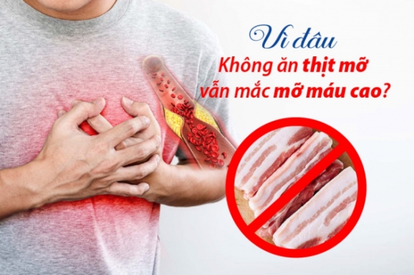 1 Khong An Thit Mo Van Bi Mo Mau Cao Nguyen Nhan Do Dau