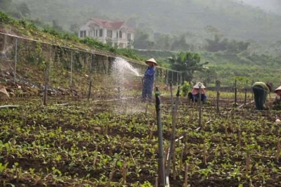 2 Sau 15 Nam Sap Nhap Vao Ha Noi Thu Nhap Binh Quan Nguoi Dan Huyen Thach That Dat 91 Trieu Dongnam
