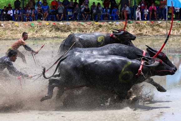3 Tin Tuc The Gioi 7 8 Phong Khong Phuong Tay Hieu Qua O Ukraine Ha Nhieu Ten Lua Va Drone Nga