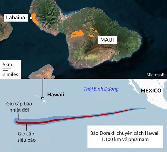 3 That Bai Cua He Thong Canh Bao Trong Chay Rung Hawaii