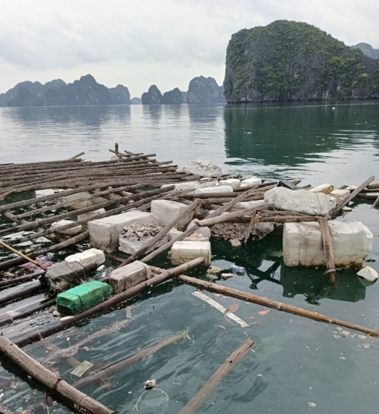 1 Lot Vao Danh Sach No List 2024 La Loi Canh Bao Cho Vinh Ha Long Ve Xa Rac