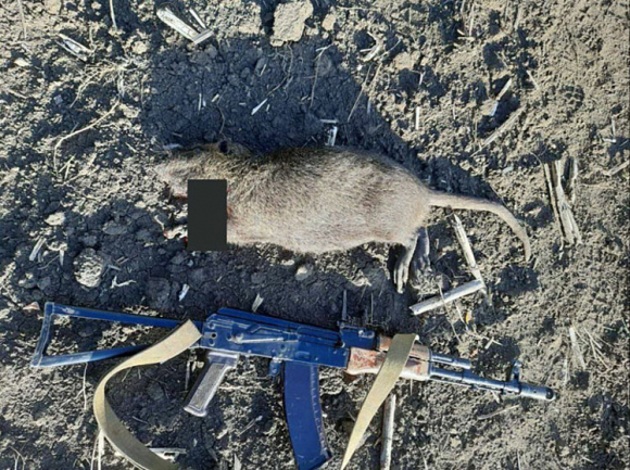 3 Ukraine Noi Dich Benh Tu Chuot Lam Giam Nang Luc Chien Dau Cua Nga