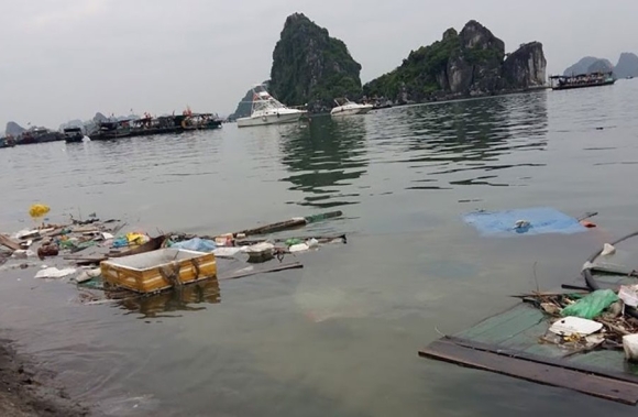 1 Du Khach Nuoc Ngoai Neu Biet Vinh Ha Long O Nhiem Nhu Vay Da Khong Den