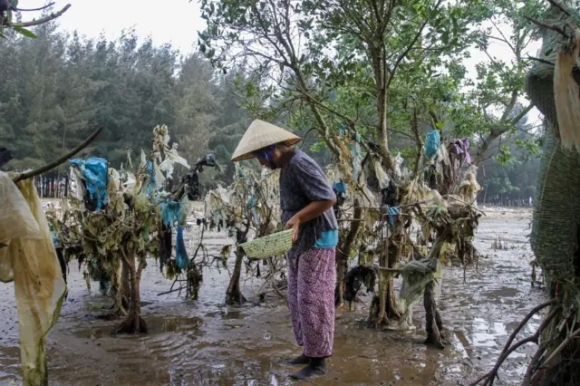1 Nguoi Viet Nam Trong Nhom An Nhua Nhieu Nhat The Gioi