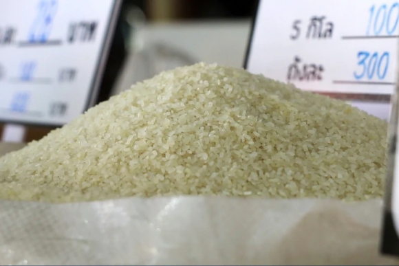 1 Gia Gao Giam Thai Lan Keu Nguoi Trong Lua Chuyen Sang Trong Chuoi