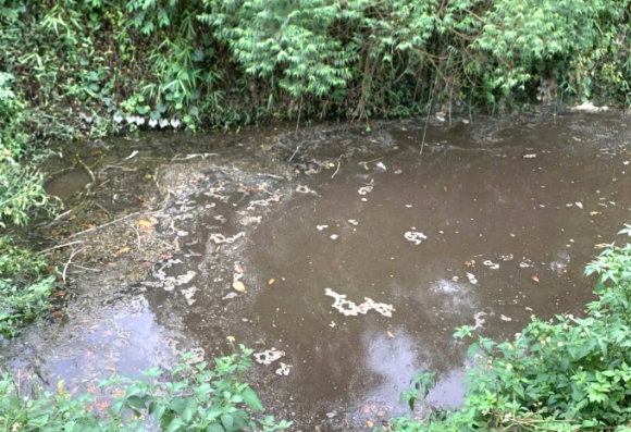 3 Thanh Hoa Trai Lon Xa Ban Khien Ca Chet La Liet