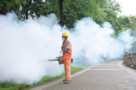 1 Nhung Dieu Can Biet Ve Virus Chikungunya Giua Luc Dich Lan Rong Tai Trung Quoc
