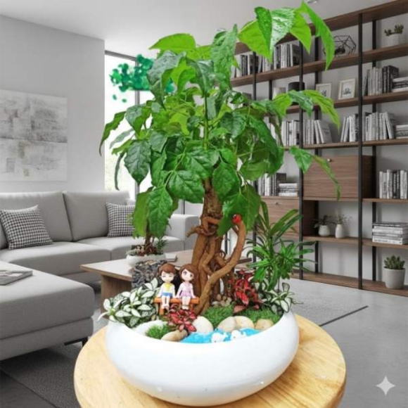 2 Bi Quyet Trong Cay Hanh Phuc Bi Mat Giup Nha Am Cung Hut Nang Luong May Man Moi Ngay