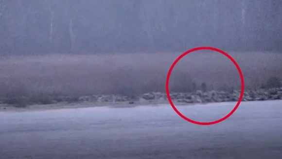 1 Nga Vuot Bien Gioi Estonia Neu Moscow Tan Cong Chau Au Se La Nhieu Mat Tran