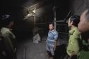 Nuôi nhốt chim công lục quý hiếm, người đàn ông tại TP.HCM bị khởi tố