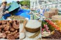 Đà tăng trưởng hiện tại mở ra khả năng xuất nhập khẩu Việt Nam vượt mốc 1.000 tỷ USD trong năm 2026