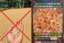 Chủ fanpage, hội nhóm lưu ý để tránh bị khóa tài khoản, khóa kênh từ 1/7