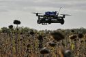 Đức cam kết 50.000 drone cho ukraine, phương tây chạy đua vá lỗ hổng phòng không