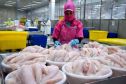 Xuất khẩu cá tra sang Mỹ gặp khó khi thuế chống bán phá giá tăng mạnh