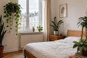 Giấc ngủ xanh giữa lòng nước Đức: Bỏ túi ngay 7 "chiến binh" sống khỏe trong bóng râm cho phòng ngủ