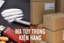 Một đầu bếp người Việt bị truy nã vì gửi hơn 10 kg ma túy từ Đức về Việt Nam