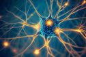 Nobel Y sinh 2026, khi ánh sáng mở khóa bí ẩn não bộ