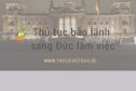 Bảo lãnh người Việt sang Đức làm việc theo hợp đồng 3 năm?