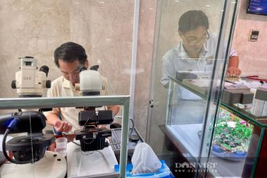 Xôn xao đá quý 6.000 đồng/viên của SJC