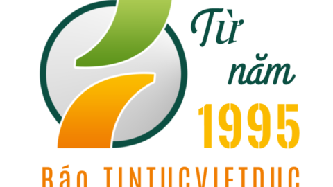 Tử vi tuổi Hợi năm 2025 dự báo có sự thay đổi mạnh trong các phương diện cuộc sống