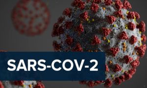 Chuyên gia khuyến cáo thế giới có thể xuất hiện siêu biến chủng corona virus mới