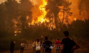 Các nước châu Âu chung sức đối phó với nạn cháy rừng