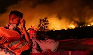 Cháy rừng châu Âu và tương lai u ám về biến đổi khí hậu