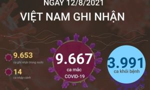 12/8: Việt Nam ghi nhận 9.667 ca mắc mới.