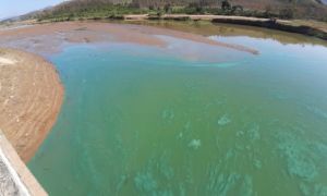 Sở Tài nguyên - môi trường Kon Tum: Nước đổi màu, bốc mùi ở hồ thủy điện Yaly...