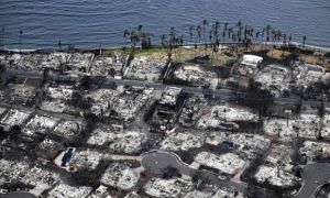 Thất bại của hệ thống cảnh báo trong cháy rừng Hawaii