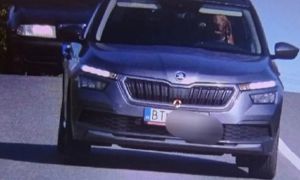 Slovakia phạt người đàn ông để chó ngồi vào ghế lái ôtô