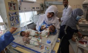 31 trẻ sinh non tại Bệnh viện Al Shifa được sơ tán