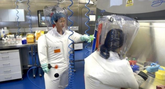 Phòng thí nghiệm Vũ Hán công bố các virus 