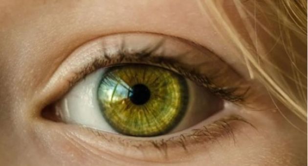 Mắt có mối quan hệ mật thiết với gan, nếu có 3 biểu hiện ở mắt, cần phải đi...