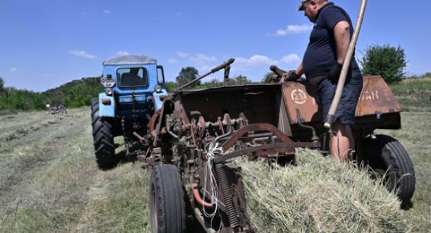 Nông dân Ukraine 'đau đầu' việc thu hoạch lúa mì