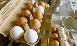 Châu Âu rúng động vì trứng bẩn: Đức, Hà Lan ảnh hưởng nặng nề