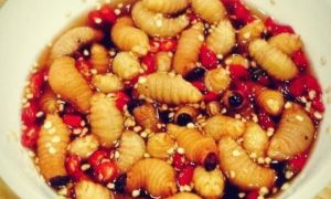 Những món ăn sống của Việt Nam khiến khách Tây sợ hãi