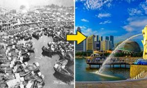 Từ quốc gia mù chữ, nghèo tài nguyên, Singapore đã vươn lên thành 