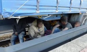Hàng chục người trốn trong tàu chở hàng để đến Đức bất hợp pháp
