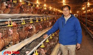 Tốt nghiệp thạc sỹ ở Đức, quyết về quê chăn gà, nuôi tôm