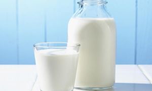 Uống nhiều sữa tốt cho xương: Sự thật hay lời nói dối xuyên lục địa?