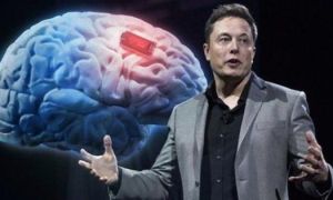 Tôi đã làm việc với Elon Musk và học được rằng thông minh không phải là chìa...
