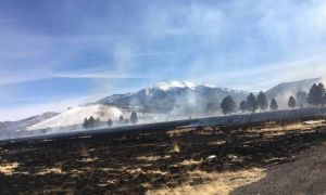 Một chiếc drone rơi vừa gây cháy rừng tại Mỹ